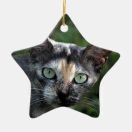 Graubraun-weiße Katze mit grünen Augen Keramikornament