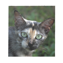 Graubraun-weiße Katze mit grünen Augen Notizblock