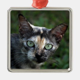 Graubraun-weiße Katze mit grünen Augen Ornament Aus Metall