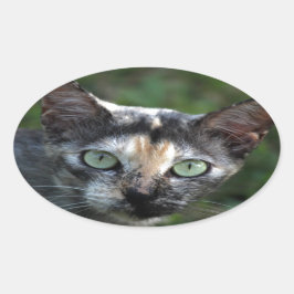 Graubraun-weiße Katze mit grünen Augen Ovaler Aufkleber