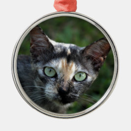 Graubraun-weiße Katze mit grünen Augen Silbernes Ornament
