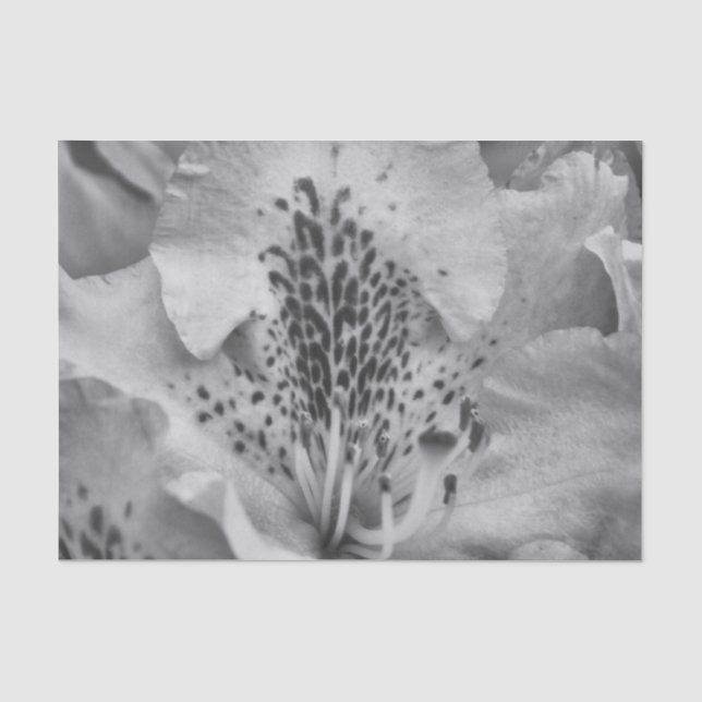 graue Blume Seidenpapier (Vorderseite)