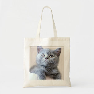 Graue britische Shorthair Katze Tragetasche