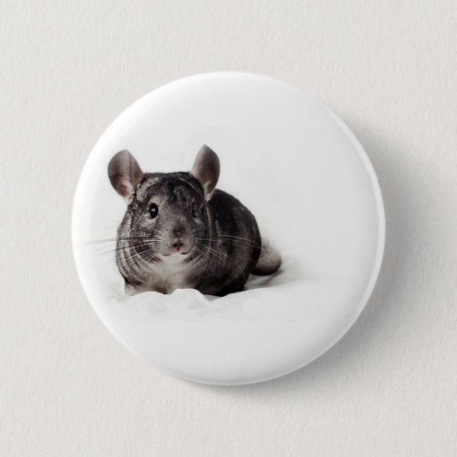 Graue Chinchilla niedlich in der Decke Button (Vorderseite)