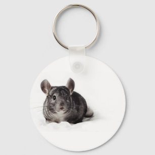 Graue Chinchilla niedlich in der Decke Schlüsselanhänger