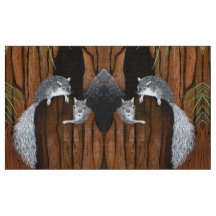 Graue Eichhörnchen spielen