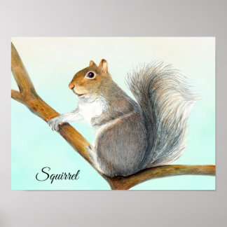 Graue Eichhörnchen Stift Zeichnend Kunstwerk Poste Poster