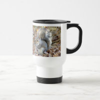 Graue Eichhörnchen-Tier-Tasse