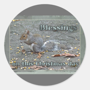 Graue Eichhörnchen Weihnachtsblessserie Runder Aufkleber