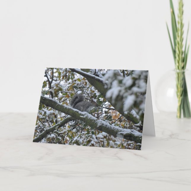 Graue Eichhörnchen Weihnachtskarte Feiertagskarte (Vorderseite)
