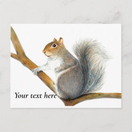 Graue Eichhörnchenhalterung Zeichnend Artwork Postkarte