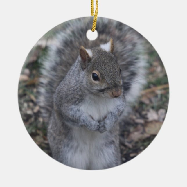 Graue Eichhörnchenverzierung Keramik Ornament (Vorne)