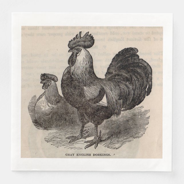 Graue englische Dorkings Hühner aus dem 19. Jahrhu Serviette (Vorderseite)