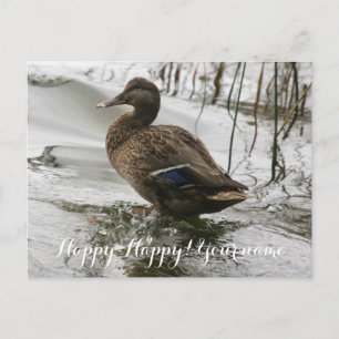 Graue Ente im Dunkeln des Sees Postkarte