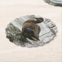 Graue Ente im Dunkeln des Sees