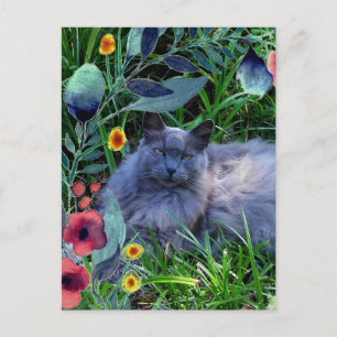 Graue Fluffy Katze im Garten mit Blume Postkarte