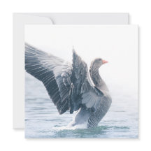 Graue Gänsehaut-Natur-Fotokarte