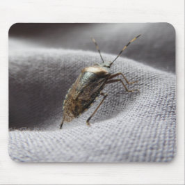 Graue Gartenwanze Buggy stink bug Mousepad
