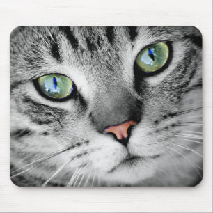 Graue getigerte Katze mit grünen Augen Nahaufnahme Mousepad