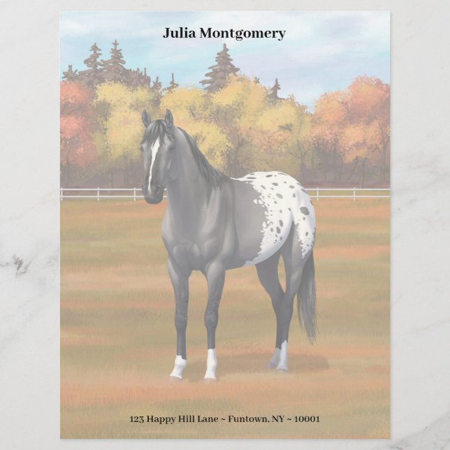 Graue Grulla Appaloosa Vierter Stallion Briefbogen (Vorderseite)