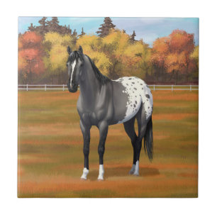 Graue Grulla Appaloosa Vierter Stallion Fliese