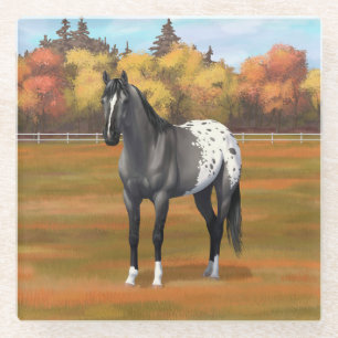 Graue Grulla Appaloosa Vierter Stallion Glasuntersetzer