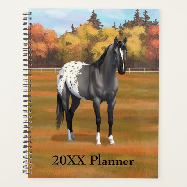 Graue Grulla Appaloosa Vierter Stallion Planer (Vorderseite)