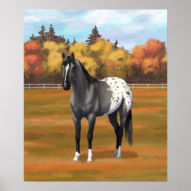 Graue Grulla Appaloosa Vierter Stallion Poster (Vorne)