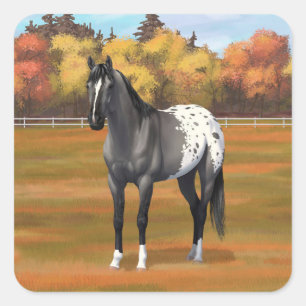 Graue Grulla Appaloosa Vierter Stallion Quadratischer Aufkleber