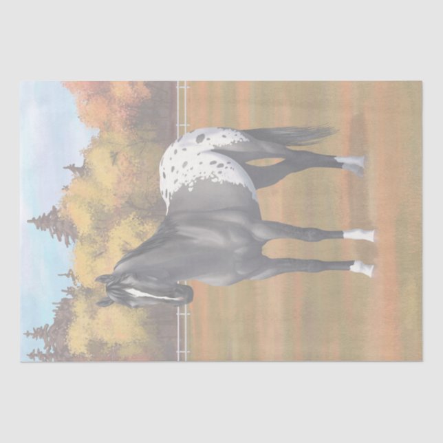 Graue Grulla Appaloosa Vierter Stallion Seidenpapier (Vorderseite)