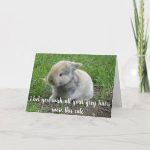 Graue-Haar-Hase Lustiges-Alter-Häschen Geburtstag Karte