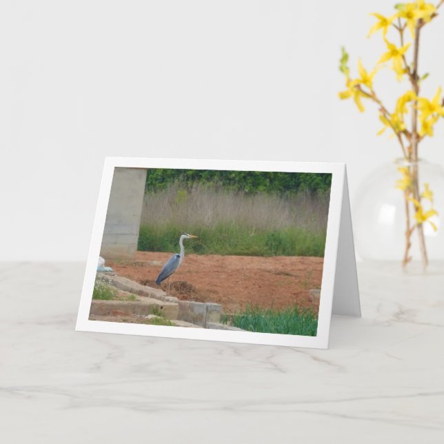 Graue Heron Bird Card Karte (Gelbe Blume)