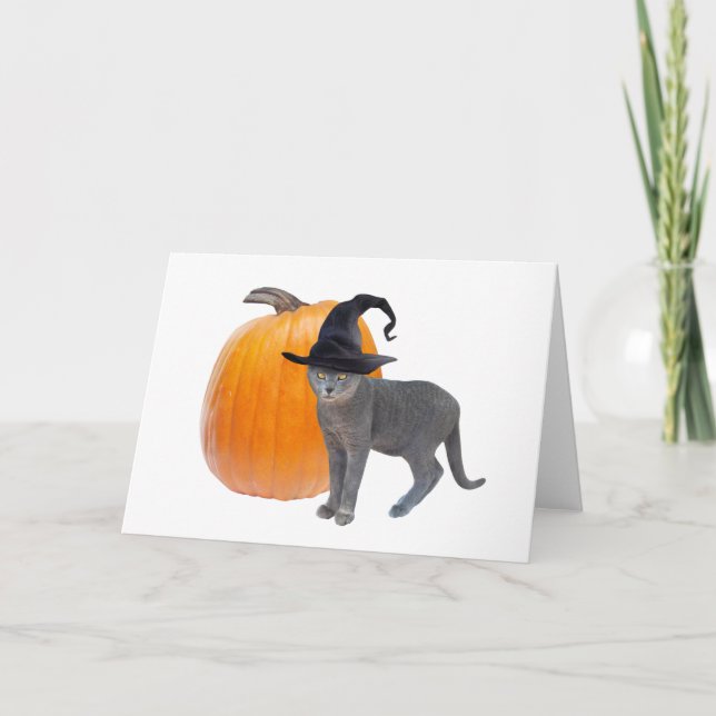 Graue Hexenkatze mit KürbisHalloween-Karte Karte (Vorderseite)