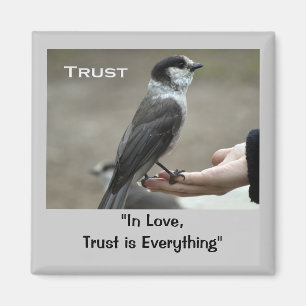 Graue Jay-Motivierend Magnete Magnet