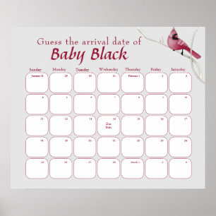 Graue Kardinal Bird Babydusche schätzt den Fälligk Poster