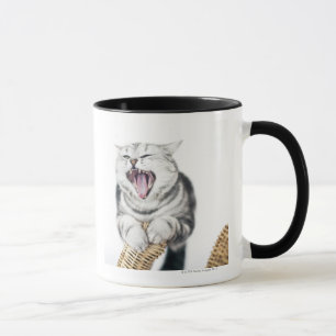 graue Katze auf weißem Hintergrund Tasse