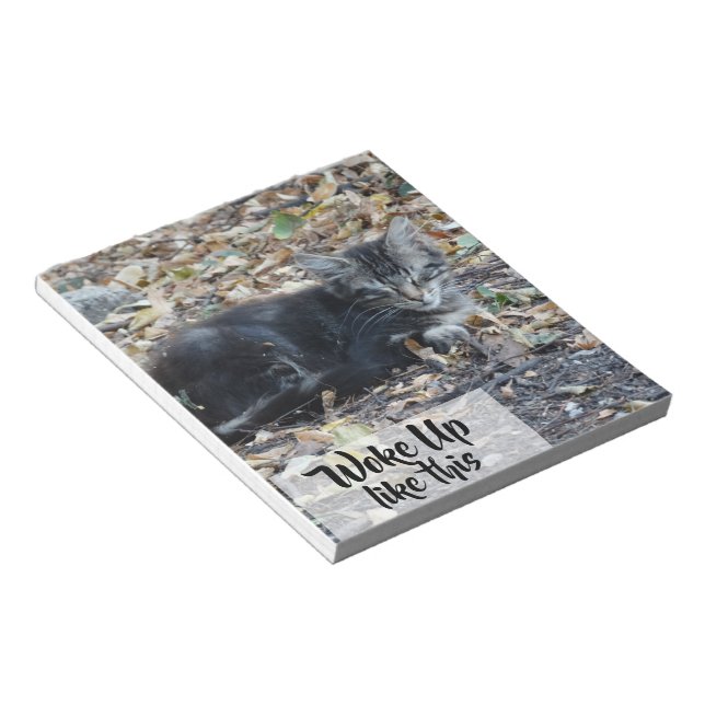 Graue Katze Funny Custom Text Notizblock (angewinkelt)