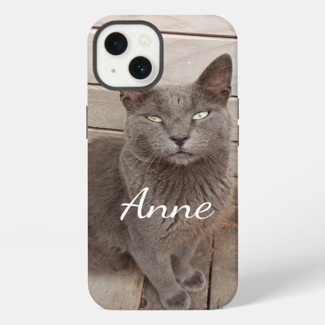 Graue Katze iPhone Hülle (Rückseite)