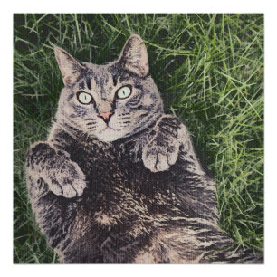 graue Katze liegt im Gras Poster