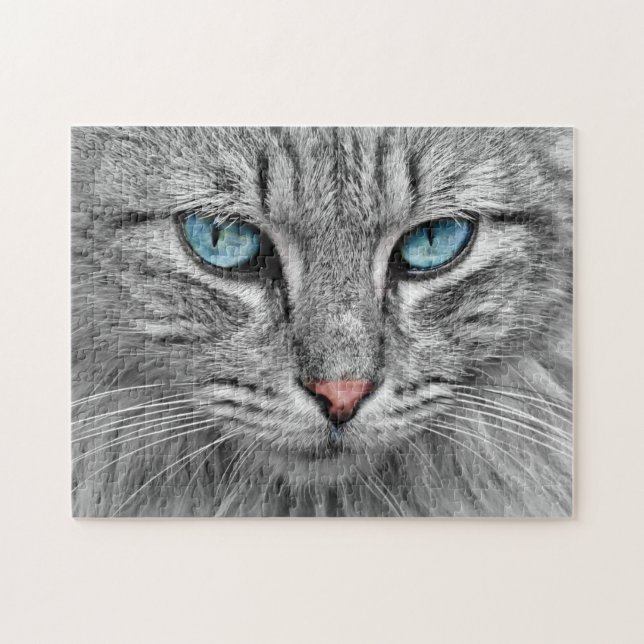Graue Katze mit blauen Augen (Horizontal)