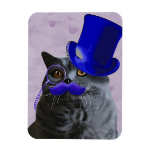 Graue Katze mit blauen Zylinder und dem Magnet