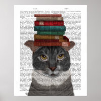 Graue Katze mit Büchern auf Kopf