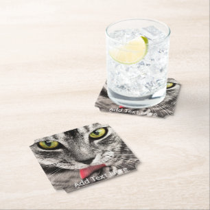 Graue Katze mit gelben Augen Untersetzer