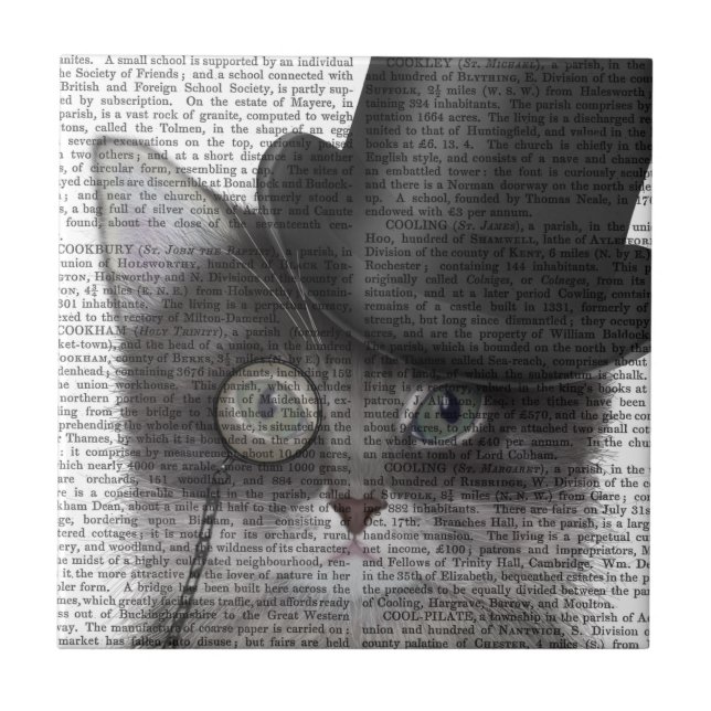 Graue Katze mit Top Hat Fliese (Vorderseite)
