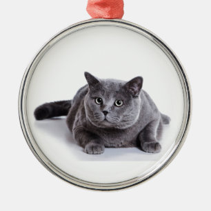 Graue Katze Ornament Aus Metall