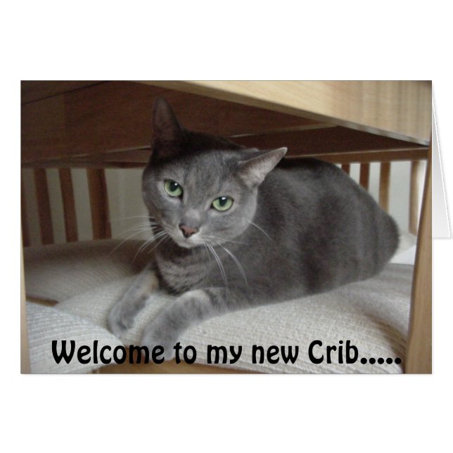 Graue Katze/Russisch Blau (Vorderseite (Horizontal))