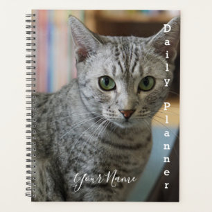 Graue Katze - Täglicher Planer- HAMbWG Planer