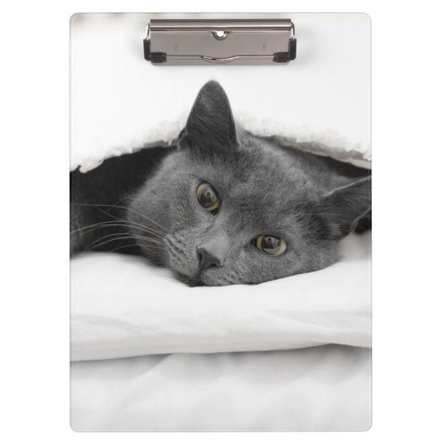 Graue Katze unter weißer Decke Klemmbrett (Vorderseite)