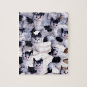 graue Katzen