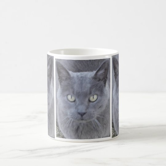 Graue Katzen-Gesichts-Nahaufnahme Kaffeetasse
